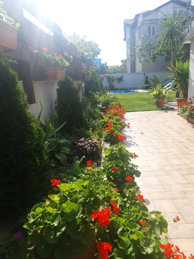 Cherry Garden Apartments Sveti Vlas Bagian luar foto